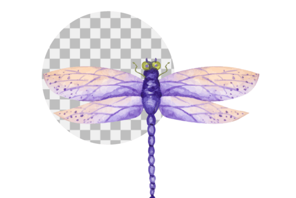 Colorful Watercolor Dragonfly Vector: A Versatile Creative Asset