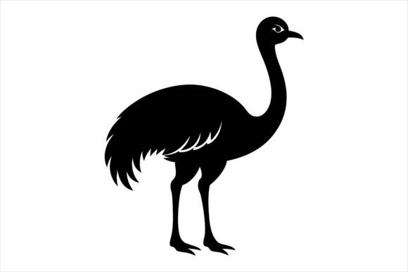 Emu Silhouette Vector Icon