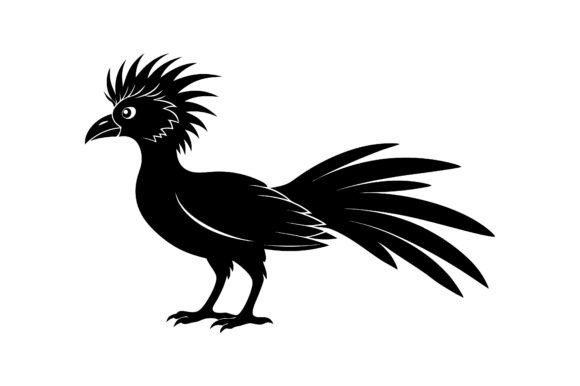 Hoatzin Bird Silhouette Vector Icon